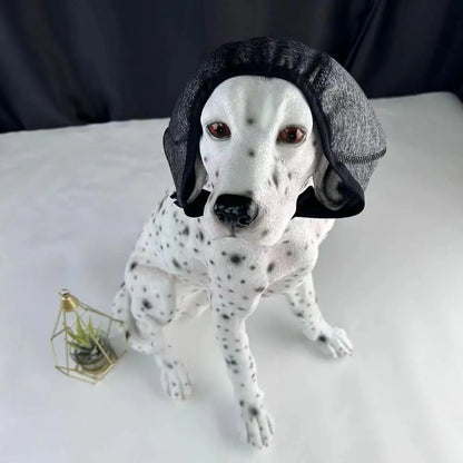 Noise Cancelling Ear Wrap